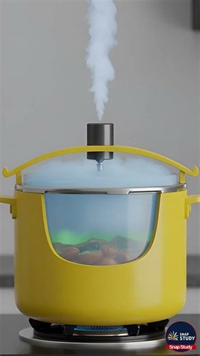Why Does a Pressure Cooker Whistle Only at One Limit? 🍲⚙️