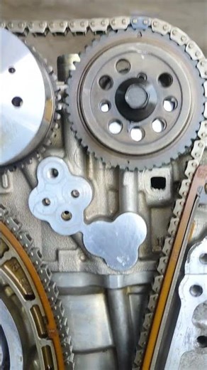 Maruti Suzuki Swift petrol engine timing....#majnumechanic #viralvideo #shorts