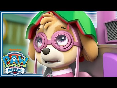 パウパウ！しょうがいぶつレース | パウ・パトロール公式