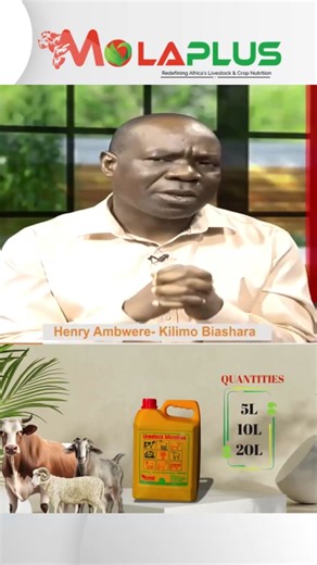 Keys to Successful Agribusiness: Focus on the Basics