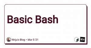 Basic Bash