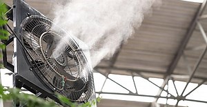 Which Misting System is Best for Your Dairy Farm | A Complete Guide