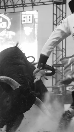 WATCH OUT!! #freestylebullfighting #UltimateBullfighters