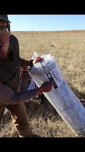 Best Fence Nets for Pigs? What We Bought