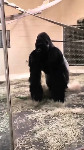 Try the AI Baby Generator App for Free!