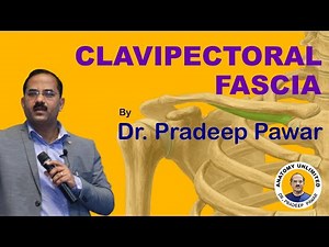 Clavipectoral Fascia in Anatomy by Dr. Pradeep Pawar