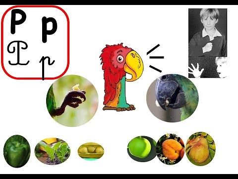 Leçon 16 Le perroquet (le son p avec les Alphas et les gestes de Borel Maisonny)