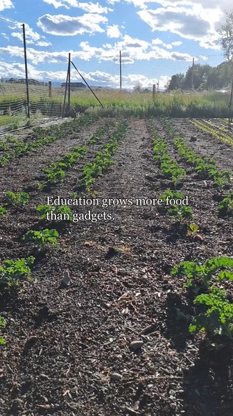 Essential gardening tips for faster food growth