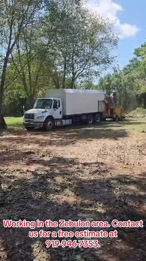 fredintreeservice.llc on TikTok