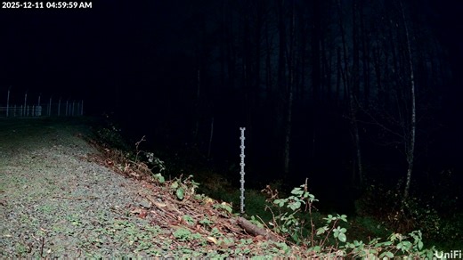 Here is a timelapse video of the City of Sedro-Woolley river gauge located at the Wastewater Treatment Plant from 5 a.m. to around 10:45 a.m. This gauge helps our Emergency Operations Center monitor changing river conditions in real time as we approach the expected crest at 7 a.m. in Sedro-Woolley. River levels continue to rise, and conditions can shift quickly. Please stay alert, avoid flooded areas, and follow all road closure signs. For updated flood information: www.skagitcounty.net/flood If
