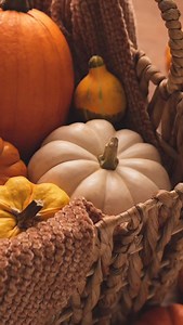 80 reactions · 6 comments | Mixing patterns, even textures, is about combining large scale with small scale. This works not only with pillows, but bedding, wallpaper and rugs. Mix it up! #designlikeapro #interiordesigntips #homedecor | Kelley Nash Designs | Facebook