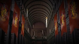 Harry Potter Zoom background sample.mp4