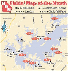 Lake Lanier Spotted Bass On The Fall Feed