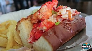 126 reactions · 24 shares | We’d love your VOTE! Click here: votesams.com 咽呂 We're honored to be nominated for “FAVORITE SEAFOOD” restaurant in the Half Moon Bay Review's Reader’s Choice annual contest. If you agree, we'd love your vote. It's fast and easy - just fill out the ballot at votesams.com! Thank you for your support! #HalfMoonBayReview #SamsChowderHouse #BestSeafood #HalfMoonBay #HMB | Sam's Chowder House, Half Moon Bay | Facebook