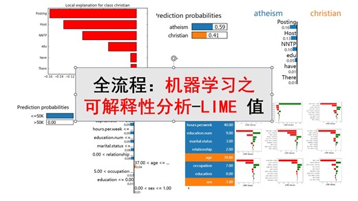Python机器学习之可解释性分析- LIME 值