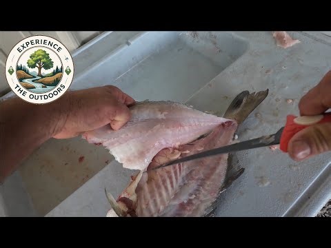 How To Fillet White Bass The Easy Way! Boneless Fillets! #fishing #food #outdoors #fish #kentucky