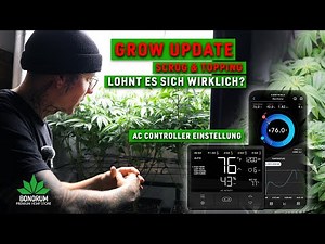 Grow-Update: AC Infinity Controller Einstellungen , Scrog & Topping – Lohnt es sich wirklich?