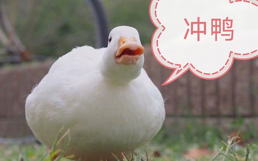 win10提取应用图标教程