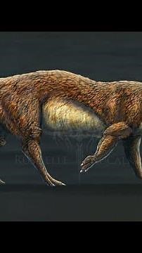 Pakicetus - The Land Dwelling Whale Ancestor