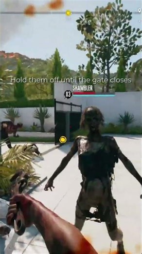 Intense fight and defense sequence