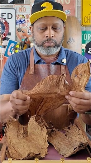 Making a Premium Cheroot Cigar to Smoke Right Away