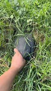 6.2M views · 43K reactions | Check the big animal in the hole | Oji TV | Facebook