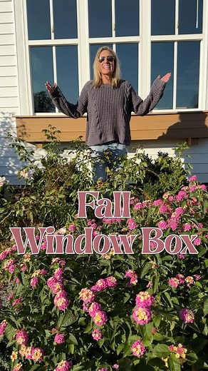 Pink pumpkins? Yay or nay? 🩷🩷🩷 🌸 Pink muhly grass (perennial in Zones 6-9) 🌸 Purple Pixie Dwarf Weeping Loropetalum (perennial in Zones 7-10) 🌸 Luxus Japanese Holly (perennial in Zones 6-9) 🌸 Obsession Nandina (perennial in Zones 6-10) 🌸 Matrix Sunrise Pansies (annuals) 🌸 Different shades of pink pumpkins 🩷🩷🩷 I’m hoping all the perennials will make it until spring ☀️when I can plant them in my garden. The pansies should make it through the winter 🩵 where I am (Zone 7) and explode in