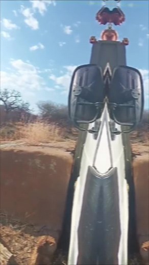 Welcome home sahara orix / Simitar you will be looked after and cared for.You are extinct in the Sahara but here yiu have a second chance.