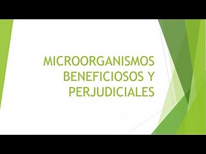 MICROORGANISMOS BENEFICIOSOS Y PERJUDICIALES
