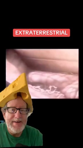 Extraterrestrial Alien Found in Brazil | Joegillespiethegreat