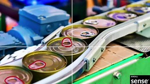 Start your free trial! Accelerate computer vision projects & break through labeling bottlenecks. Sense allows you to label better, smarter, faster. | Plainsight