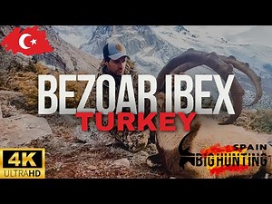 BEZOAR IBEX BIG HUNTING SPAIN