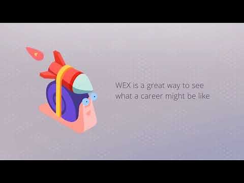 Everything you need to know about work experience