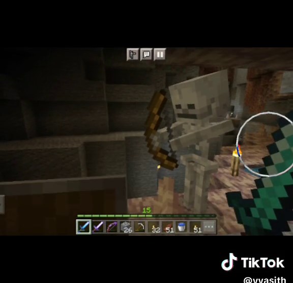 Mystery of the Still Skeleton in Minecraft