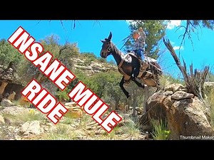 INSANE Rock crawling- Extreme Mule Riding
