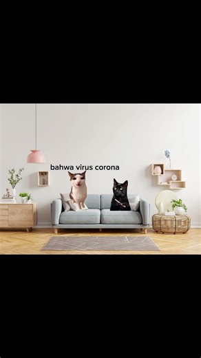 MK trauma di 2020!#shorts #memes #cat #coronavirus