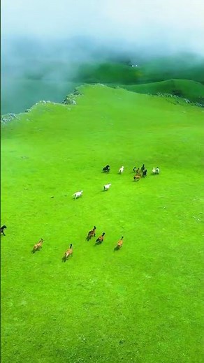 Natural beauty of Badimalika, Nepal. 🫣 . #nature #naturalbeauty #badimalika #nepal #india #tourism