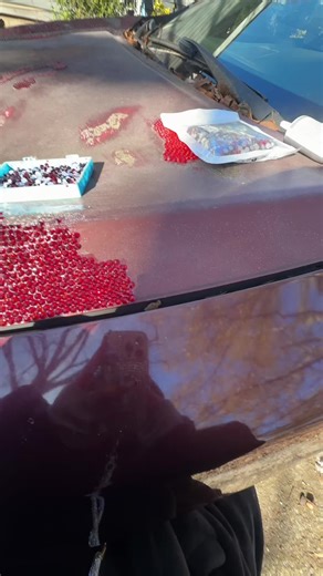 penelope (@ilovecherrybae)’s videos with original sound - penelope