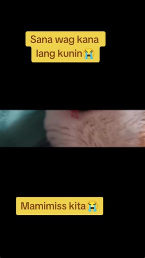 bing🥰🤗 (@bing0418)’s videos with original sound - Julia Quotes