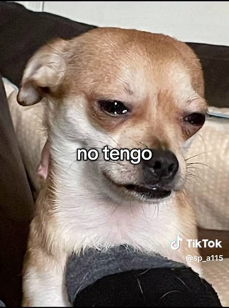 sp_a115 (@sp_a115)’s video of money song