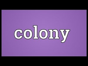 Colony Meaning