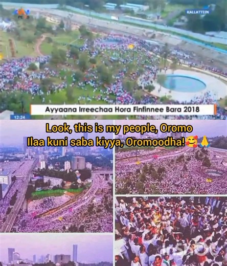 Look, this is my people, Oromo🥰🙏 | Firo Teferi