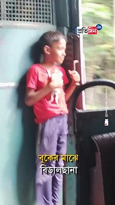45K views · 783 reactions | Watch: A Boy's Journey with a Cute Kitten on a Train – Sweet Video Goes Viral [Cute Video, Viral Video, Cute Boy, Kitten Love, Love, Train, Local Train] #CuteVideo #viralvideoシ #kittenlife #localtrain #Love #SangbadPratidin Video Courtesy- Debasmita Samanta | Sangbad Pratidin | Facebook
