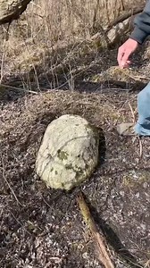 284K views · 1.8K reactions | You don’t need any super-strength to find this cache!  What geocaching superpower would you choose? 隸 Video by wheels00_outdoors. | Geocaching | Facebook