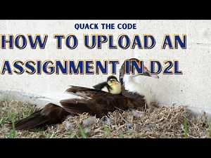 How to upload an assignment in D2L