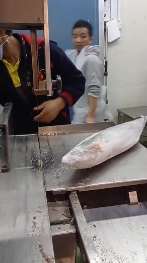 Quick Freezing Techniques for Fresh Fish Slicing