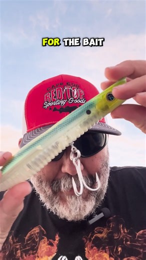 Reach new fishing heights with the Flying Darter™! 🚀 Cast farther and reel in bigger with its long casting darter plug design and subtle swimming action. Don't miss out on the catch of a lifetime—get the distance others can't with the Flying Series! #oceanborn #abandofanglers #cast #lure #reelitfeelit #FishingRevolution #AnglersDream #hardbaits #lurefishing #luremaking | Patrick Sebile's A Band Of Anglers