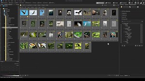 A possible workflow combining AI-Keywords and Keywords to get the most out of cataloging your images. Check out the full workshop here: https://youtu.be/JdNLyeVr75g | ACD Systems | Facebook
