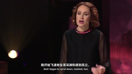 TED演讲视频合集（中英双字幕）（30集）