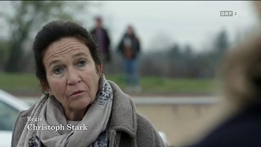 Die Chefin Staffel 9 Folge 5